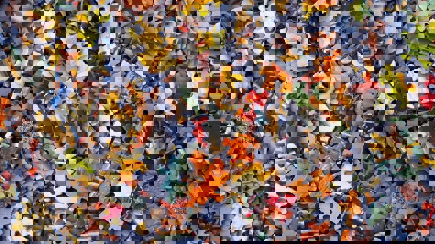 Puzzle. Picture: Unsplash.